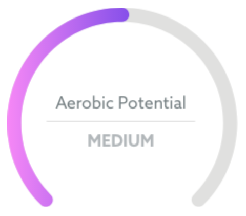 fitlogic-physiogenomix-charts-aerobic-potential-1